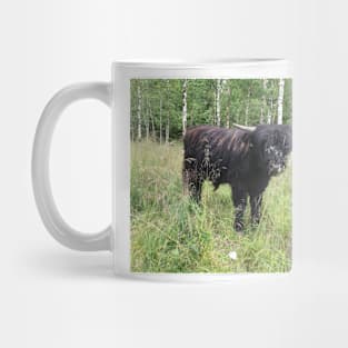 Scottish Highland Cattle Bull 1458 Mug